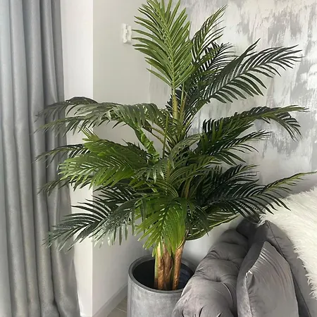 Apartment Anais Floor Bel Air Luxury Nord *