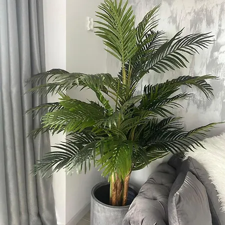 Apartment Anais Floor Bel Air Luxury Nord