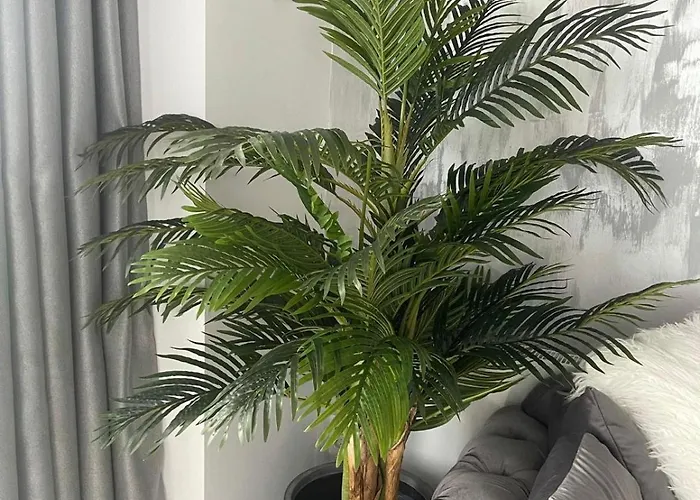 アパート Anais Floor Bel Air Luxury Nord